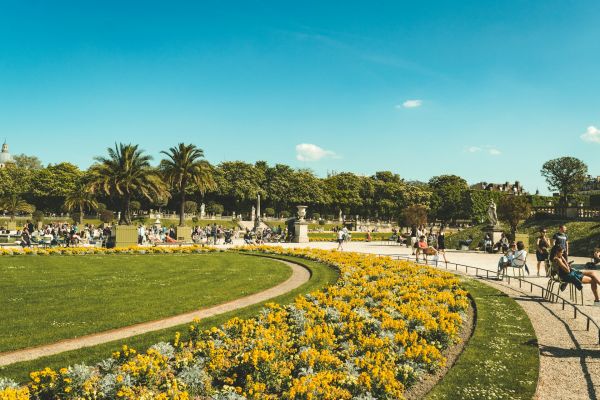 Aménagez votre jardin urbain : services de paysagiste à paris