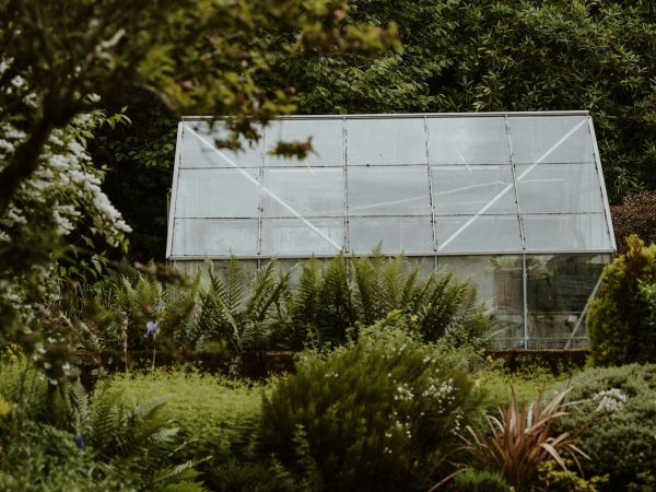Les meilleures options de serres de jardin accessibles