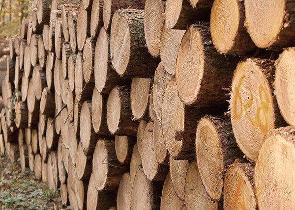 Quelles sont les meilleures sections de bois utilisées pour la charpente ?