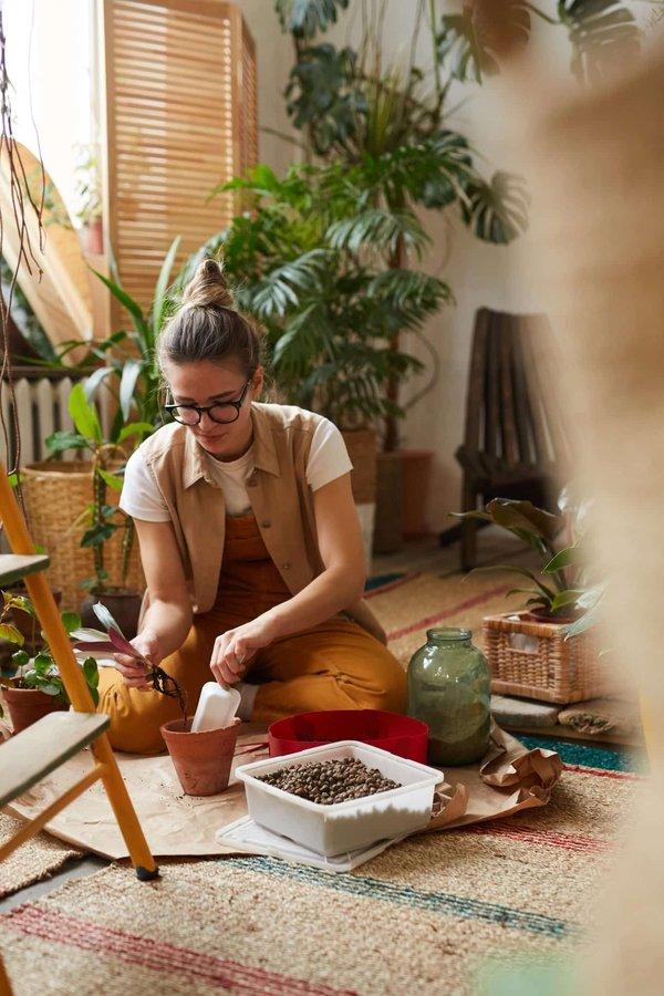 Les meilleures plantes d'intérieur pour égayer votre jardin