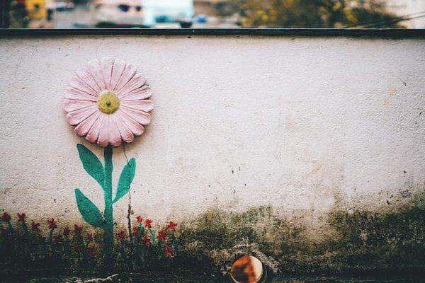 Quelle est la méthode la plus simple pour enlever des taches de moisissure sur un mur ?
