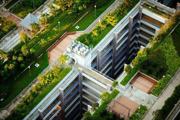 Comment créer un jardin de plantes succulentes sur un toit ?