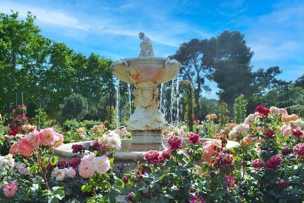 Quelles espèces de plantes pour un jardin de biodiversité en milieu urbain ?