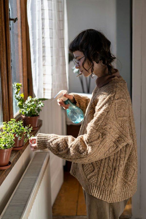 Quelles sont les meilleures plantes pour une cuisine avec peu de lumière ?