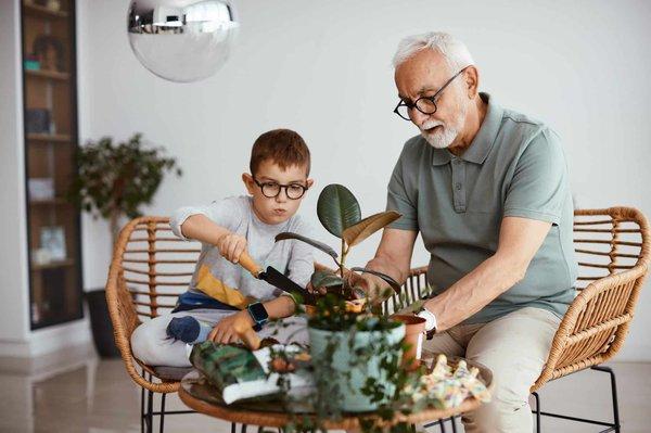 Aménagement extérieur : quelles plantes choisir pour un petit jardin ?