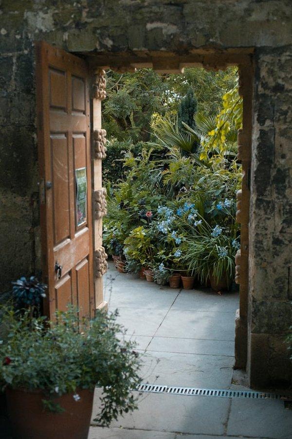 Conseils blog jardinage : astuces pour un été vert