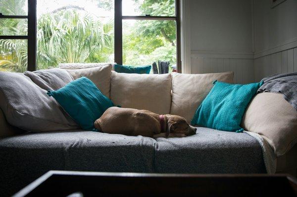 Guide d’entretien pour maintenir votre canapé convertible et canapé lit confortables